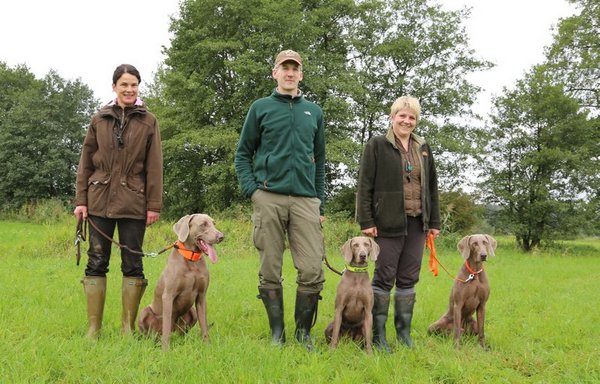 Die Weimaraner Elkmar, Elfriede und Egil mit ihren Führern