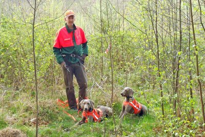 Weimaraner-Nachsuchenteam